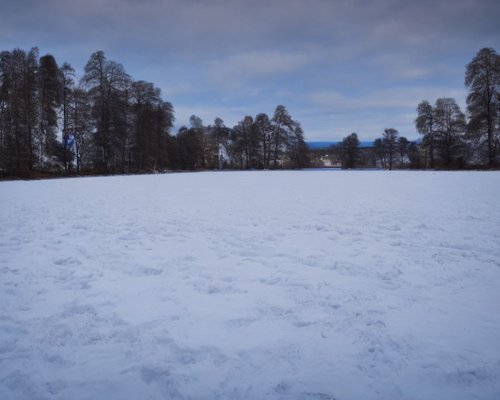 Snowy landscape with scattered footprints, leafless trees, and cloudy sky.