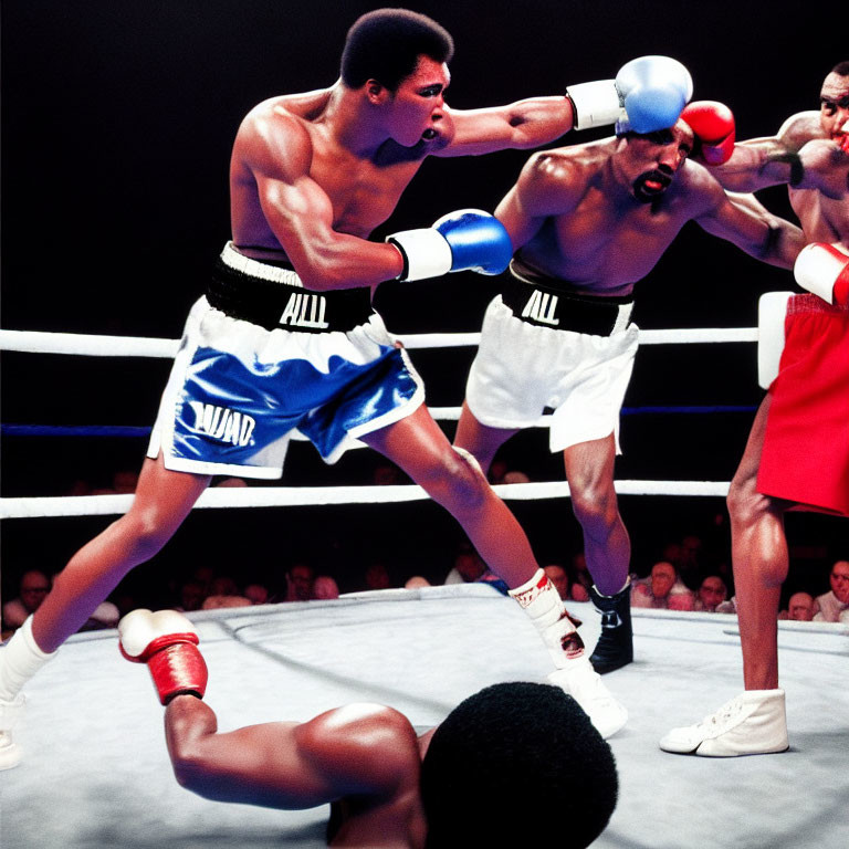 Boxers in red and blue shorts with referee in the ring