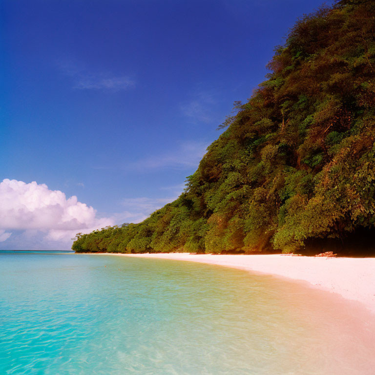 Scenic Tropical Beach with Clear Blue Water and White Sand