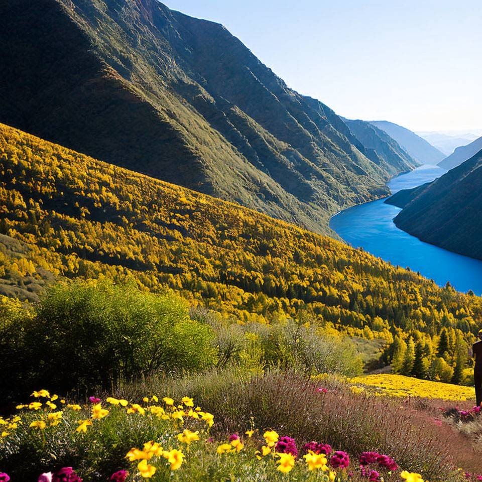 Scenic landscape with river, mountains, and colorful flora