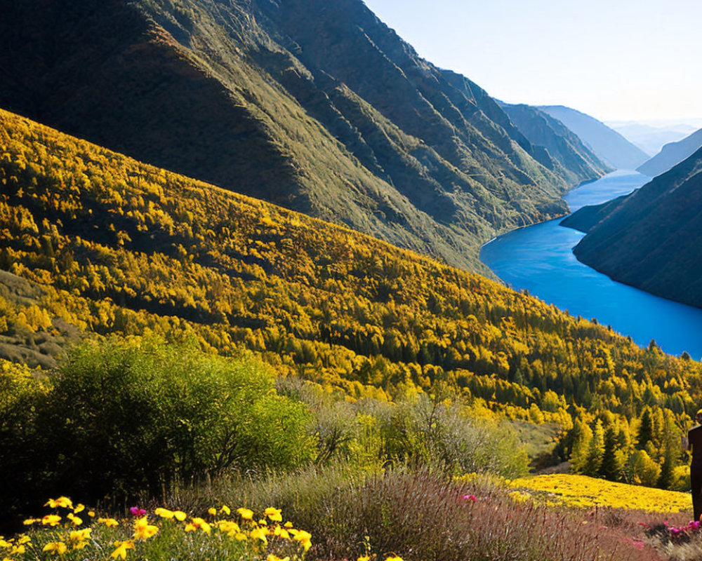 Scenic landscape with river, mountains, and colorful flora