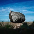 Abandoned wooden boat with figures, lions on grassy plain