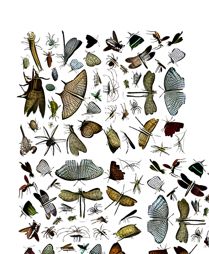 Insects