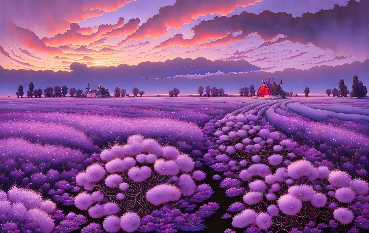 Tranquil lavender field at sunset with red-roofed house