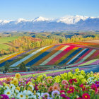 Scenic landscape with flower fields, river, village, mountains, and birds