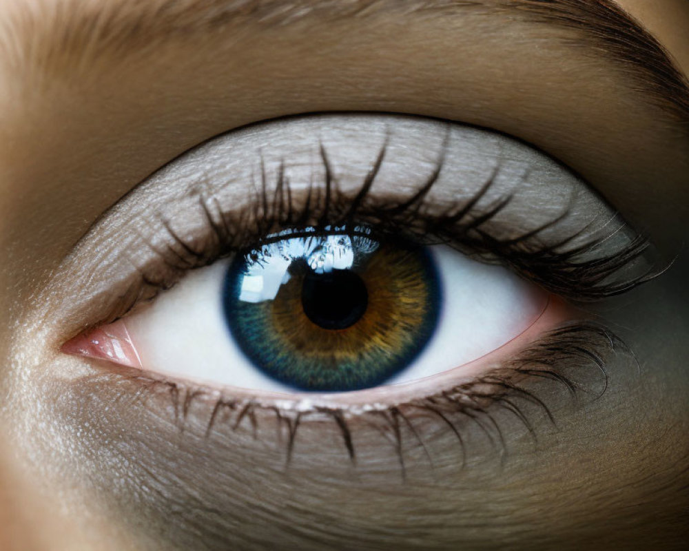 Detailed Close-Up of Blue and Brown Iris with Mascara and Gold Jewelry