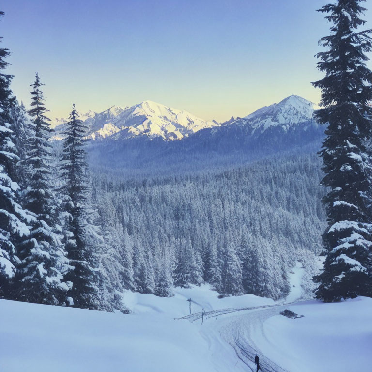 Snowy Pine Trees and Mountains in Dusk or Dawn Sky