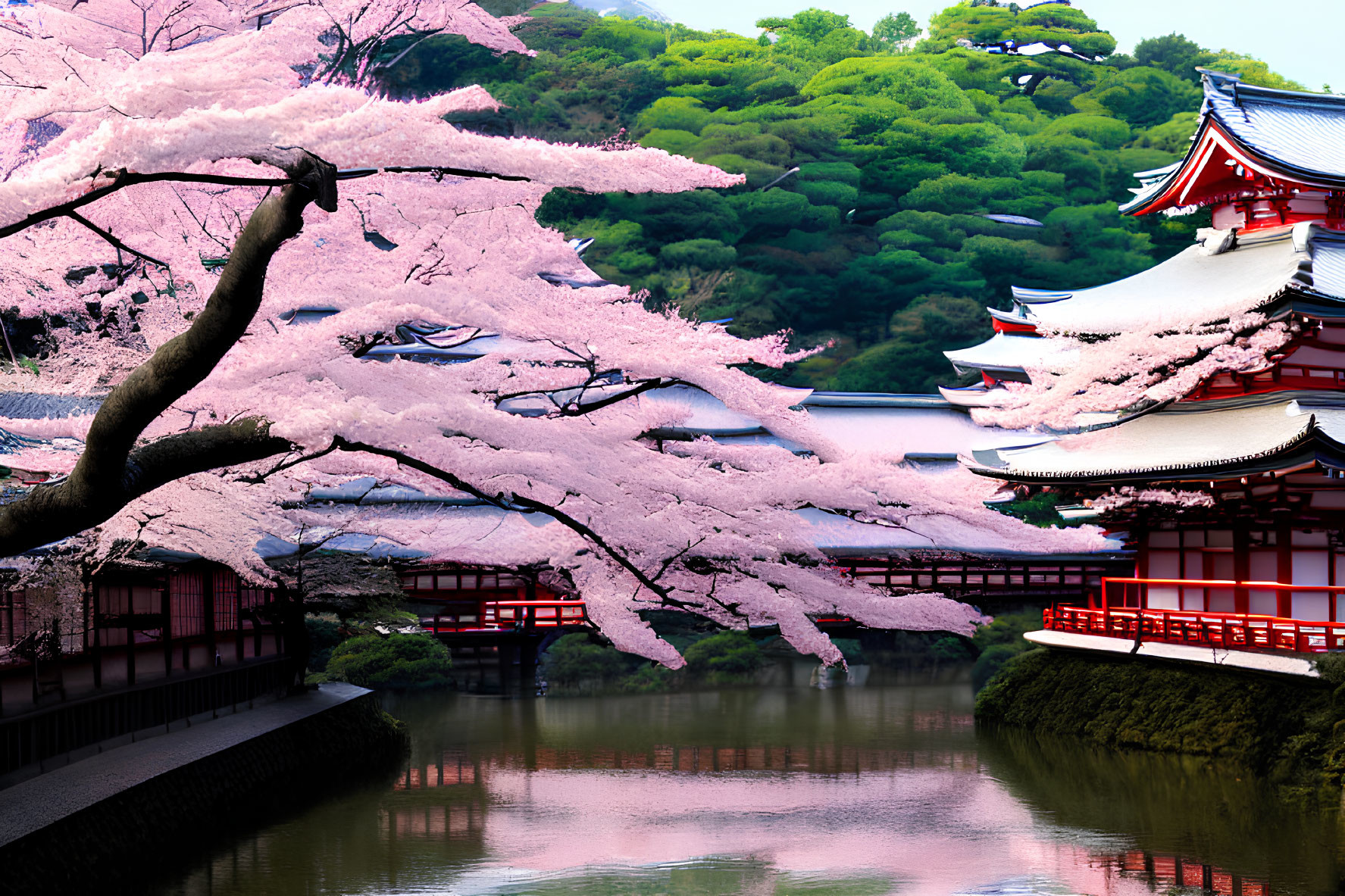 Traditional Japanese Temple Surrounded by Cherry Blossoms and Water Canal