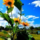 Colorful sunflower painting with bold brushstrokes on blue sky