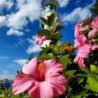 Lighthouse painting with lush greenery and hibiscus flowers