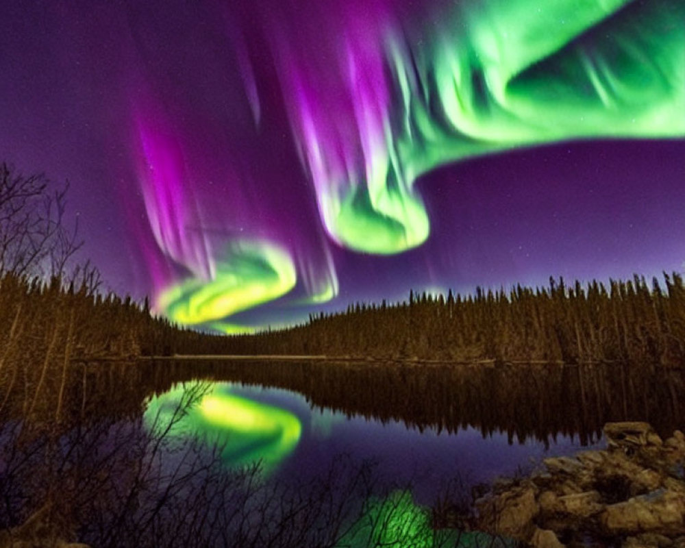 Colorful Aurora Borealis Reflecting Over Forest Lake