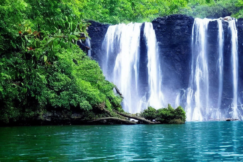 Scenic waterfall flowing into emerald pool amidst lush greenery