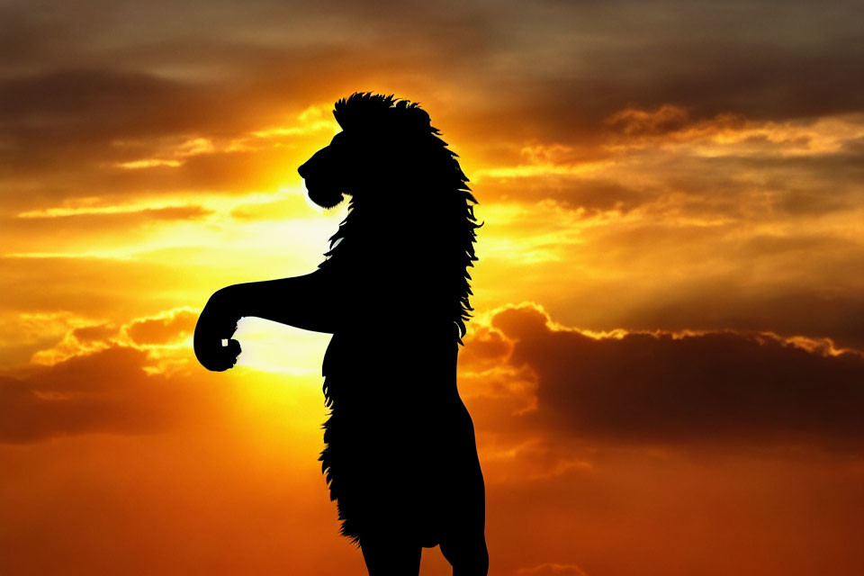 Lion silhouette against vibrant sunset sky