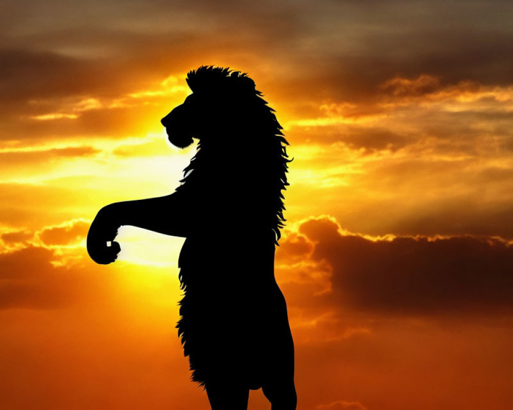 Lion silhouette against vibrant sunset sky