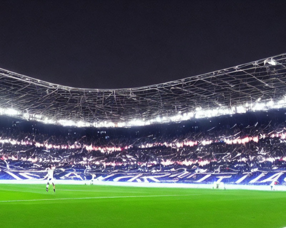 Expansive nighttime stadium with large crowd and illuminated soccer field