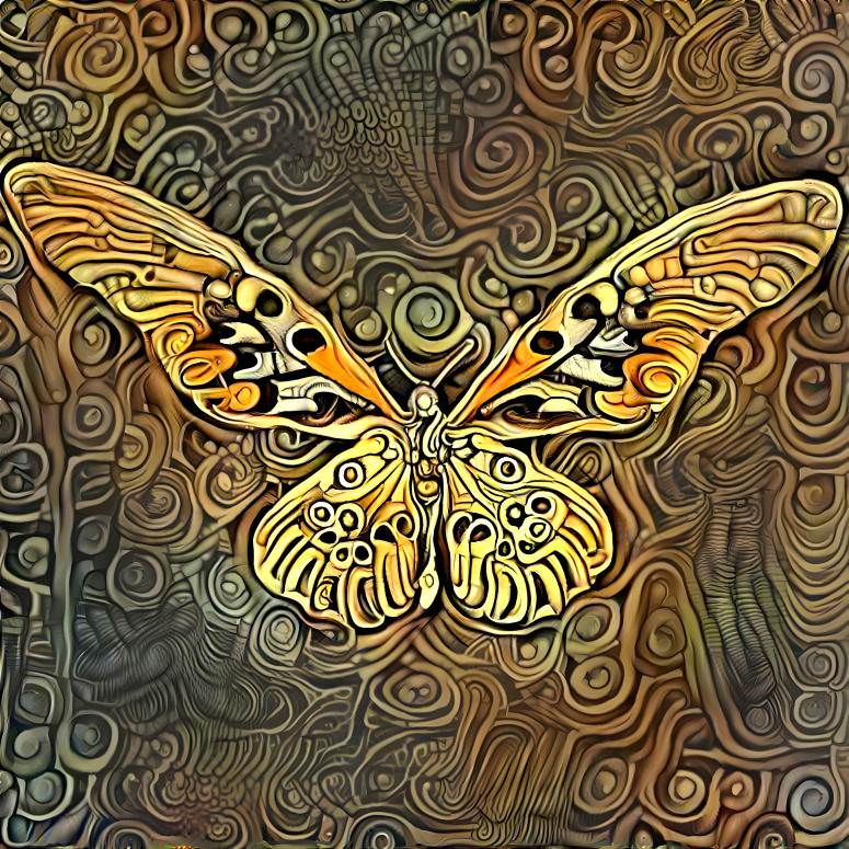 Butterfly