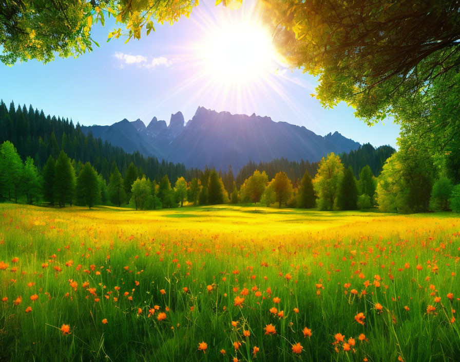 Scenic sunny meadow with wildflowers, trees, and mountains under clear blue sky