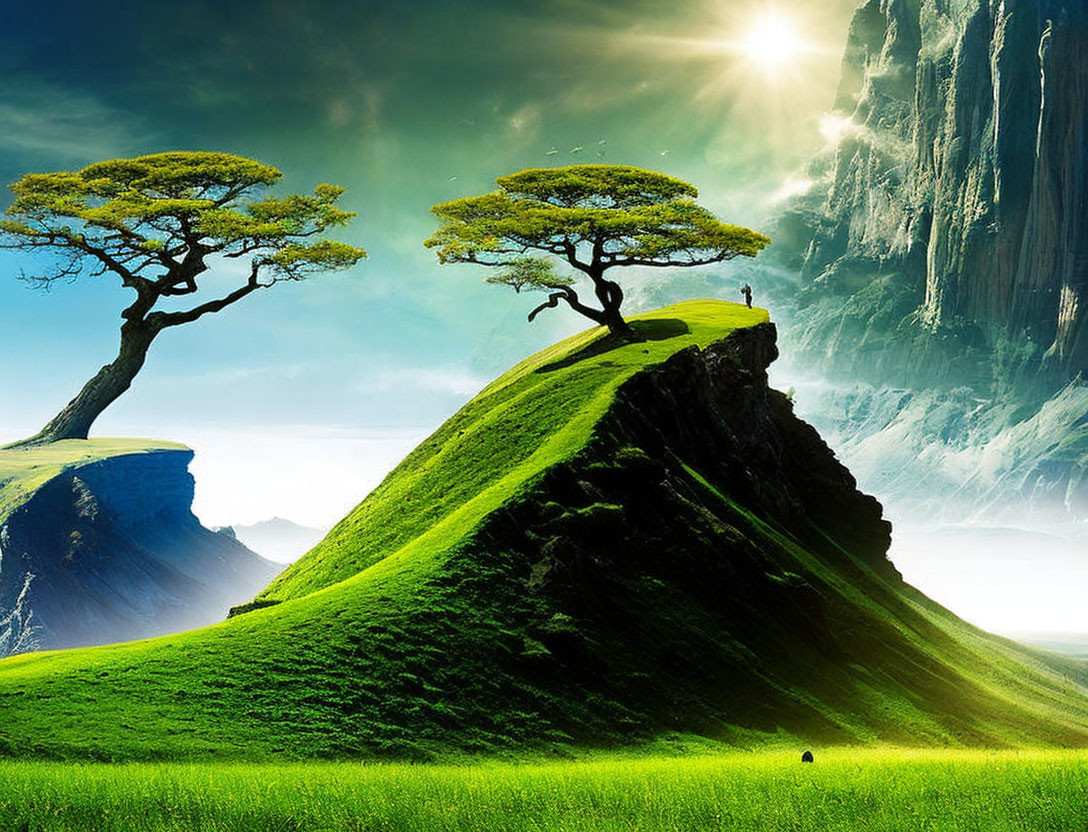 Solitary trees on green hills under radiant sun with cliffs and small figure