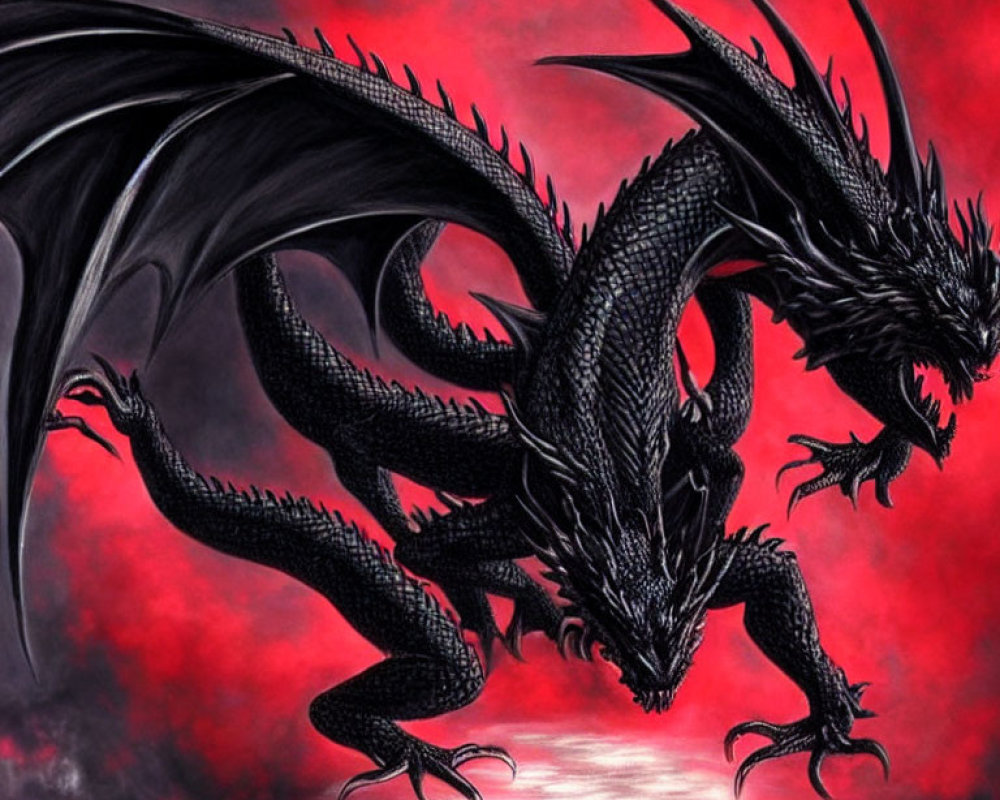 Black dragon with spread wings and sharp claws against crimson backdrop