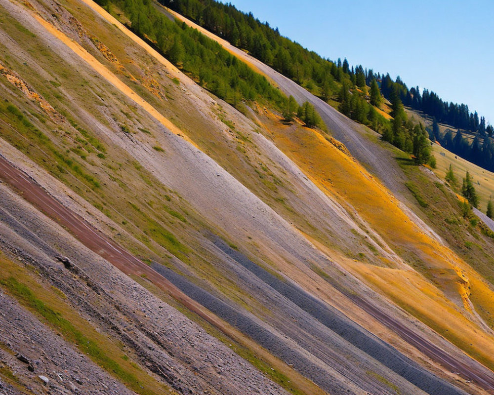 Colorful Striated Hillside with Conifers Under Blue Sky