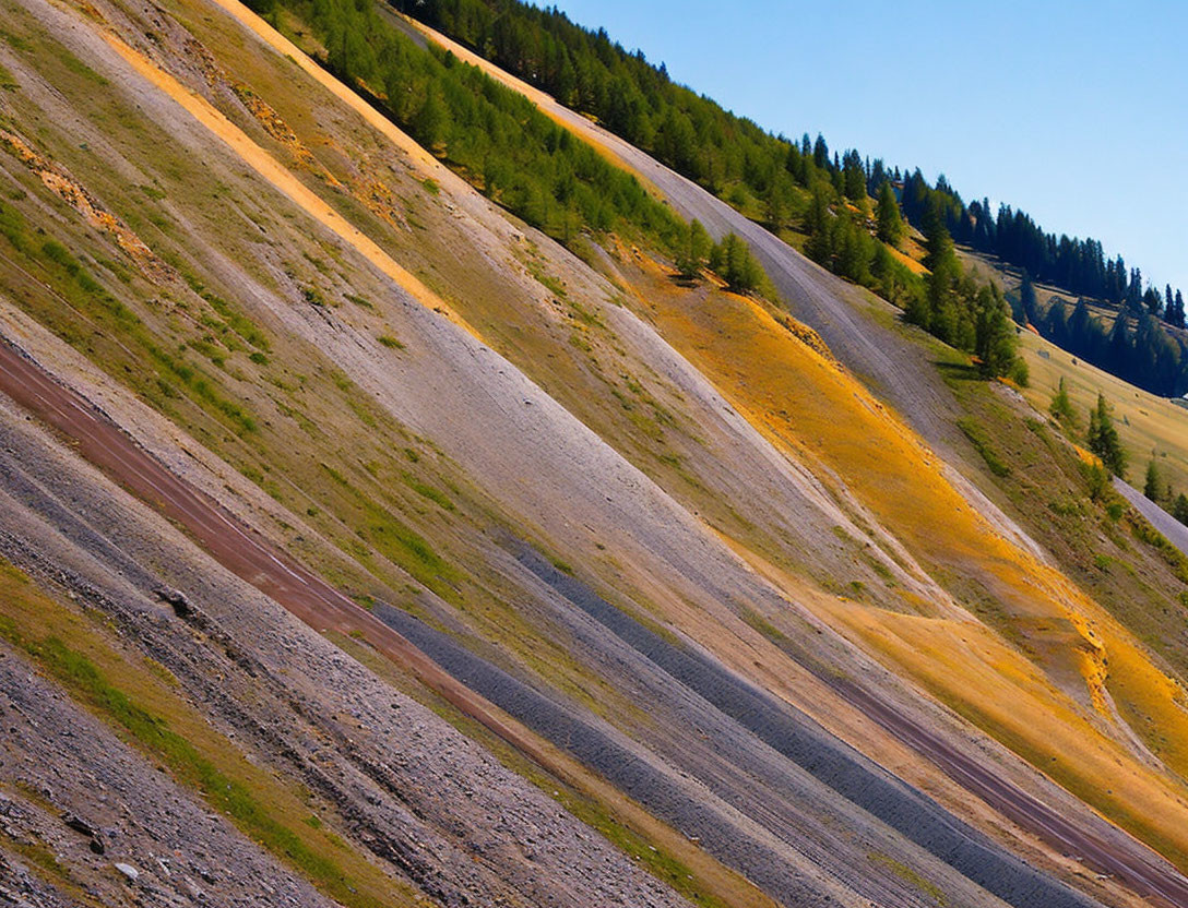 Colorful Striated Hillside with Conifers Under Blue Sky