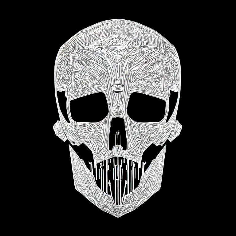 Detailed White Skull Line Art on Black Background