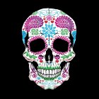 Detailed White Skull Line Art on Black Background