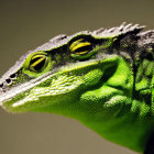 Detailed Computer-Generated Green Iguana with Sharp Scales