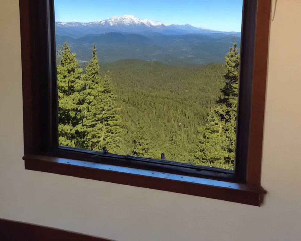 Scenic forest and snow-capped mountain view from window