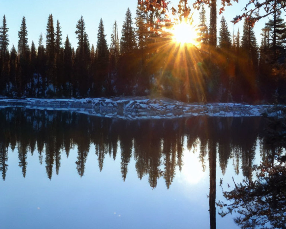 Tranquil lake at sunset with tree reflections