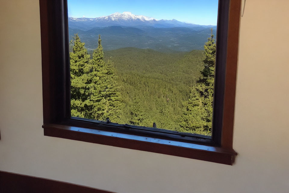 Scenic forest and snow-capped mountain view from window