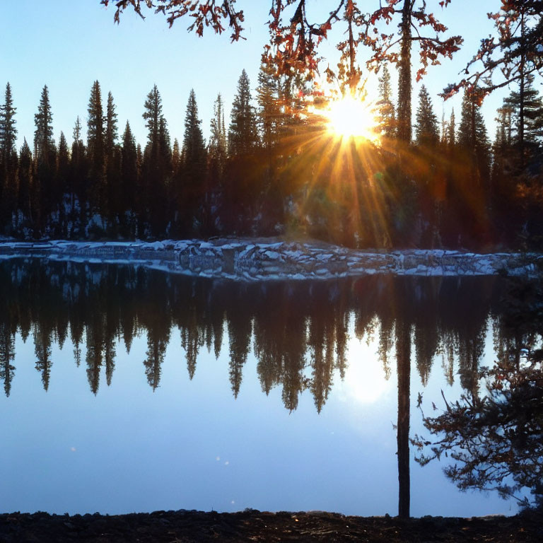 Tranquil lake at sunset with tree reflections