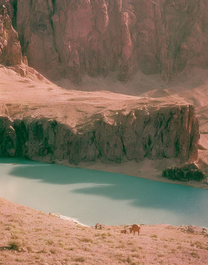 Tranquil mountain lake with grazing cow and rugged cliffs