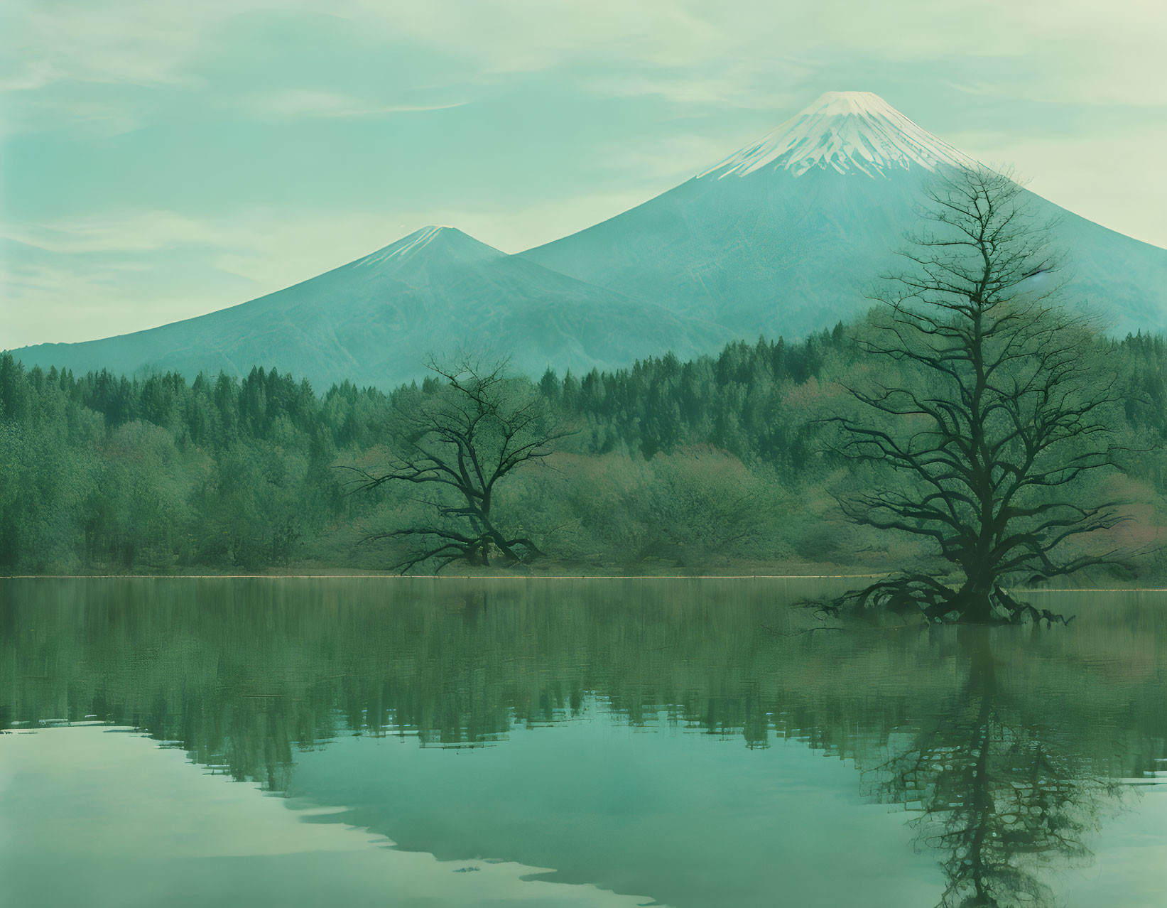 Tranquil lake with lone tree, Mount Fuji, and teal sky