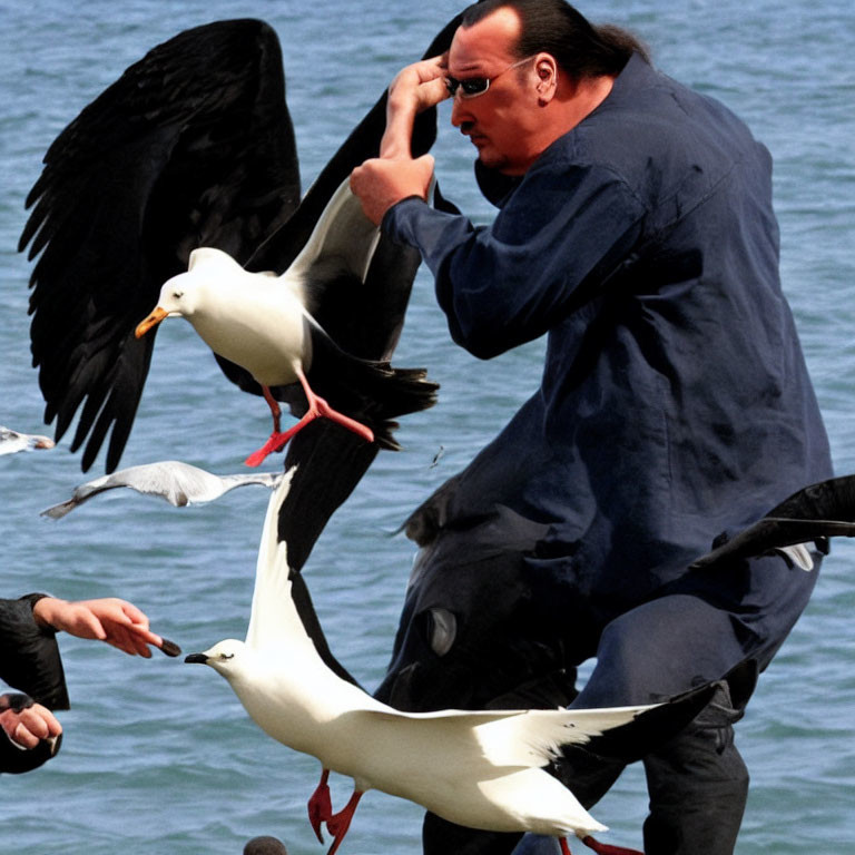 Man grimacing as seagull lands, with birds in flight and hand feeding birds