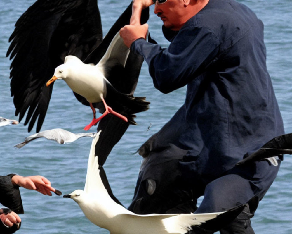 Man grimacing as seagull lands, with birds in flight and hand feeding birds