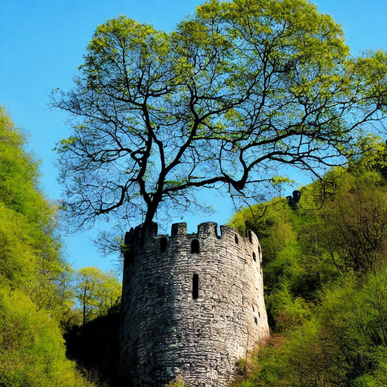 Leafless Tree and Ancient Stone Tower in Lush Green Landscape