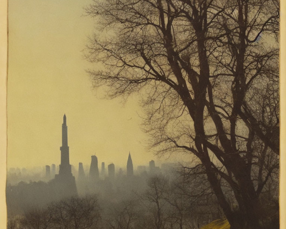 City skyline at dusk with skyscraper silhouettes and leafless tree.