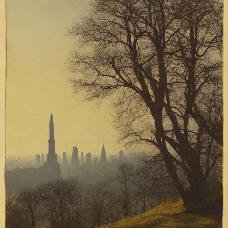 City skyline at dusk with skyscraper silhouettes and leafless tree.