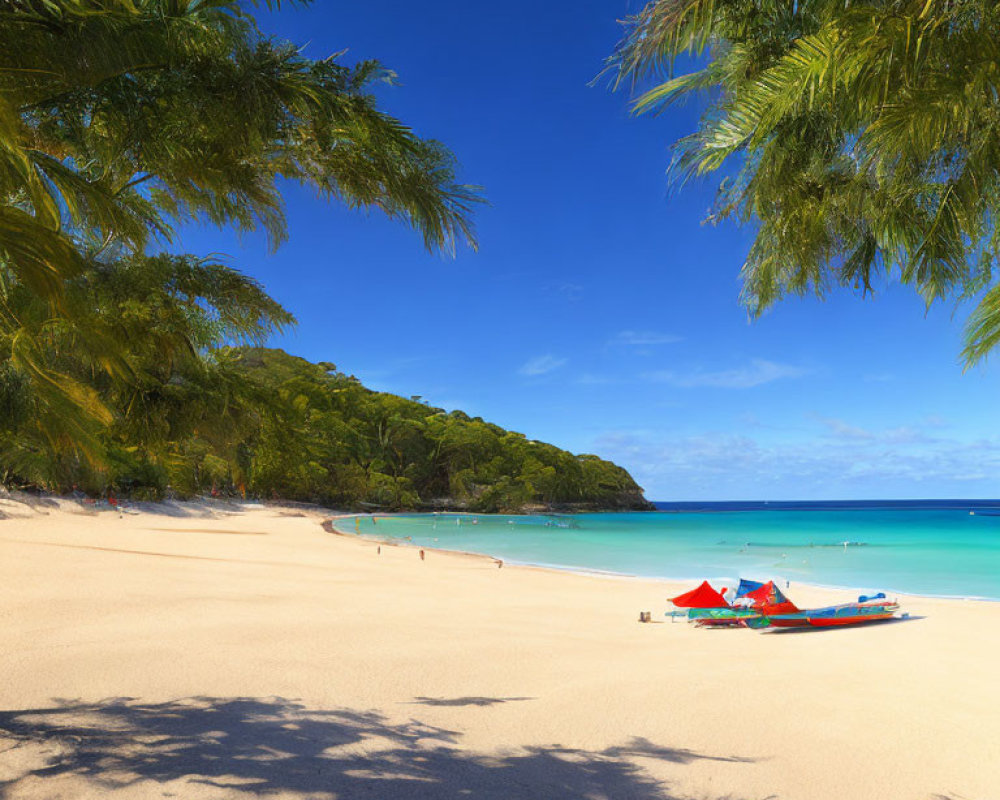 Sunny tropical beach scene with clear blue waters and palm trees