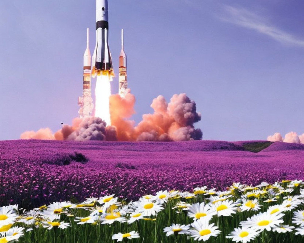 Rocket launching in vibrant lavender field with white daisies under blue sky