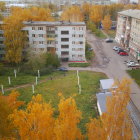 Cityscape at Dusk: Golden Trees, Spire Building, Wet Streets, Horse Carriages