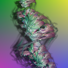 Vibrant Psychedelic Portrait of Woman with Abstract Design