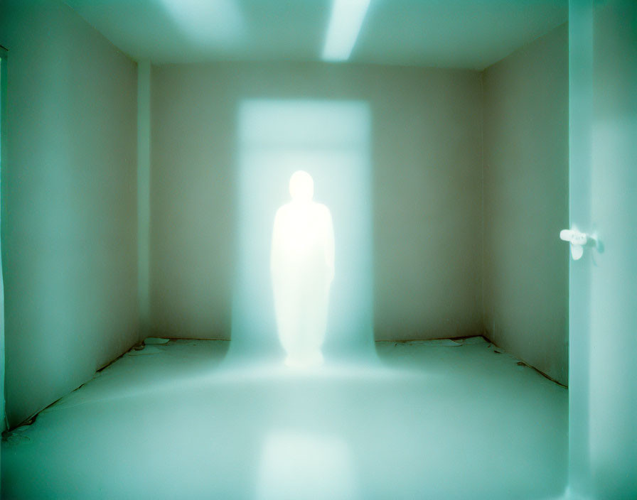 Silhouetted figure in illuminated doorway of dimly lit room