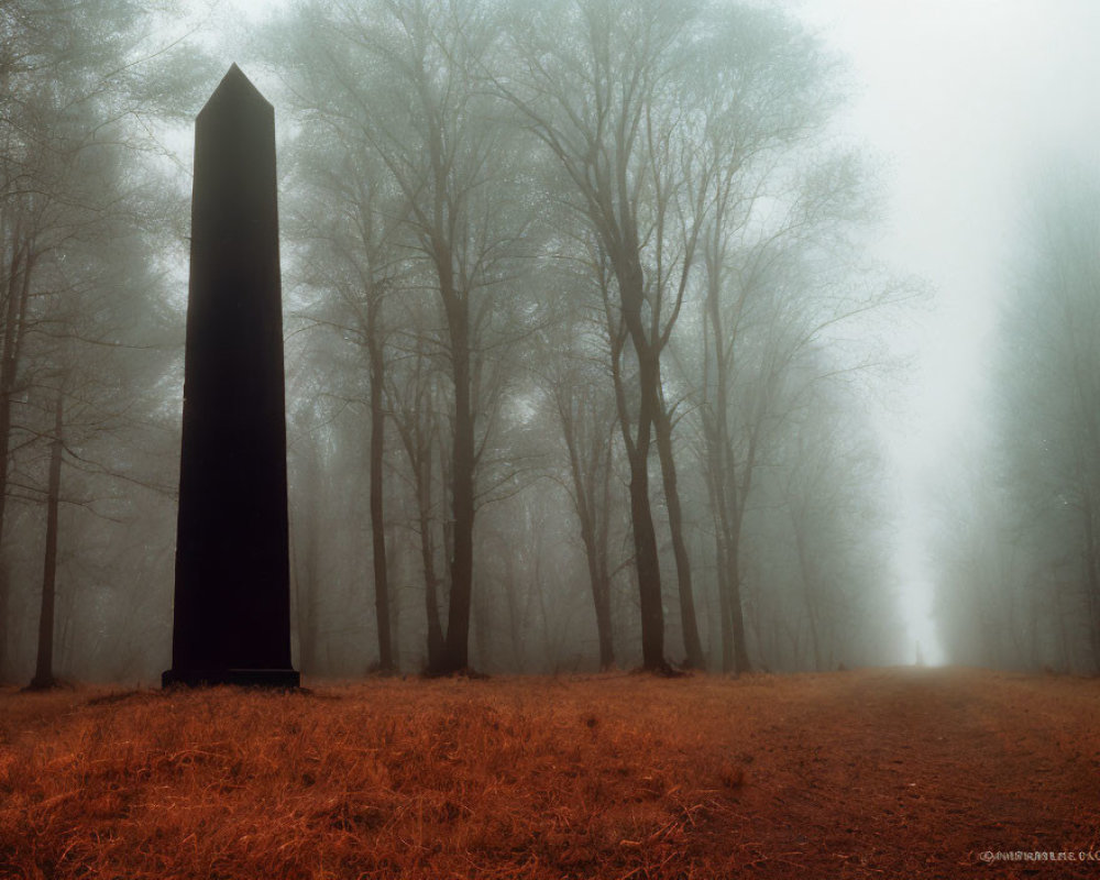 Towering Black Monolith in Misty Forest with Bare Trees