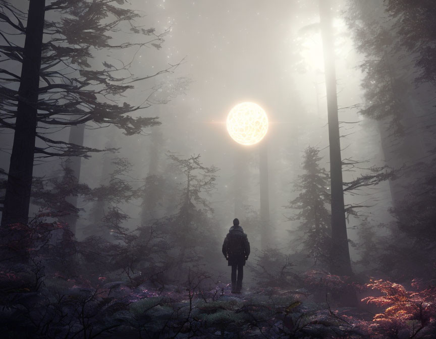 Solitary Figure in Misty Forest with Glowing Orb and Towering Trees