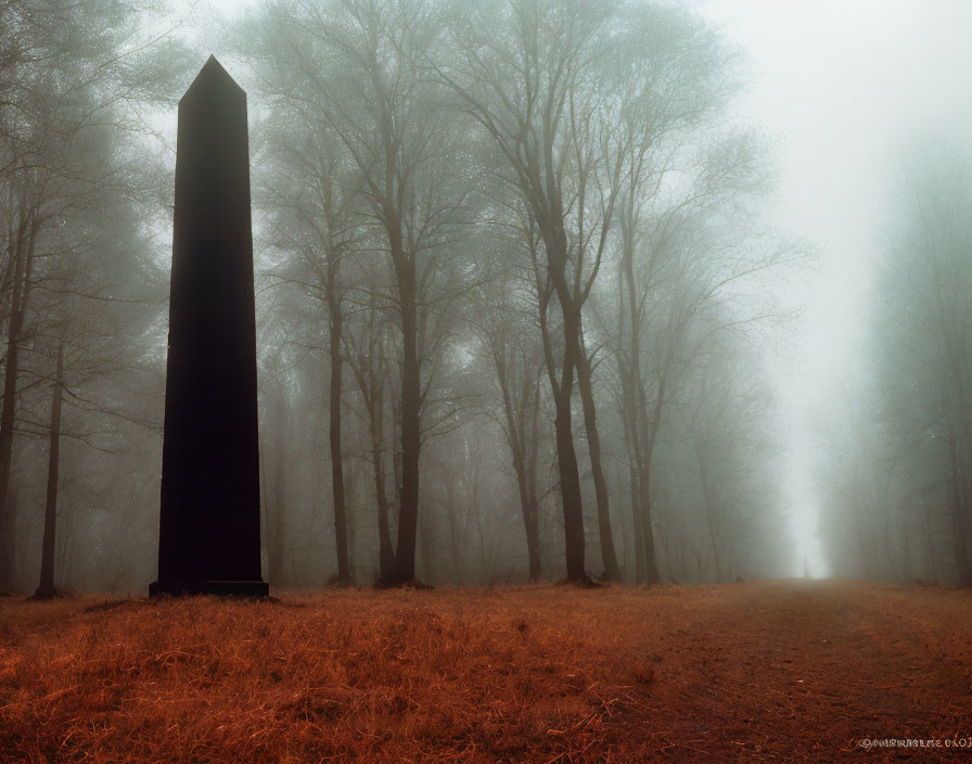 Towering Black Monolith in Misty Forest with Bare Trees