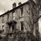 Eerie abandoned two-story house with creeping vines under cloudy sky