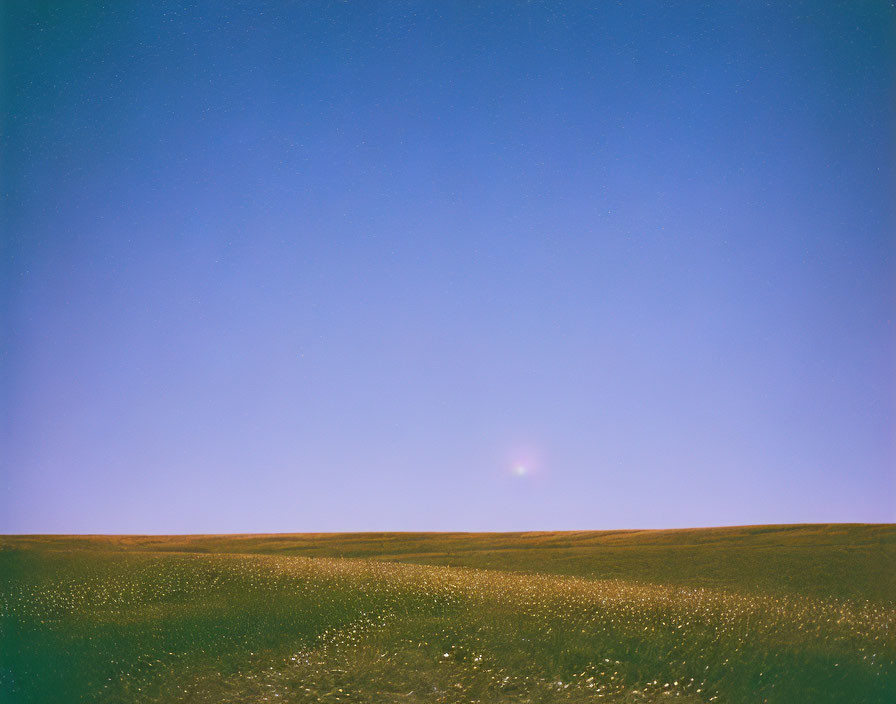 Twilight sky over vast field with bright star