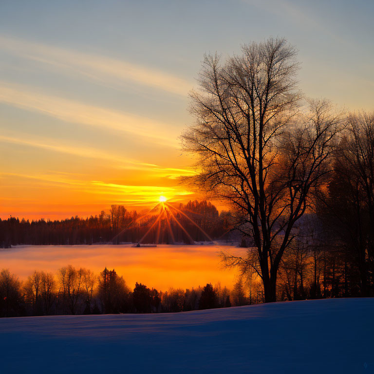 Winter sunset with vibrant sky, silhouetted trees, snow-covered landscape